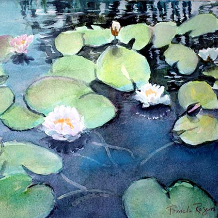 Growing Waterlilies - Pamela Jane Rogers - Visual Artist & Author
